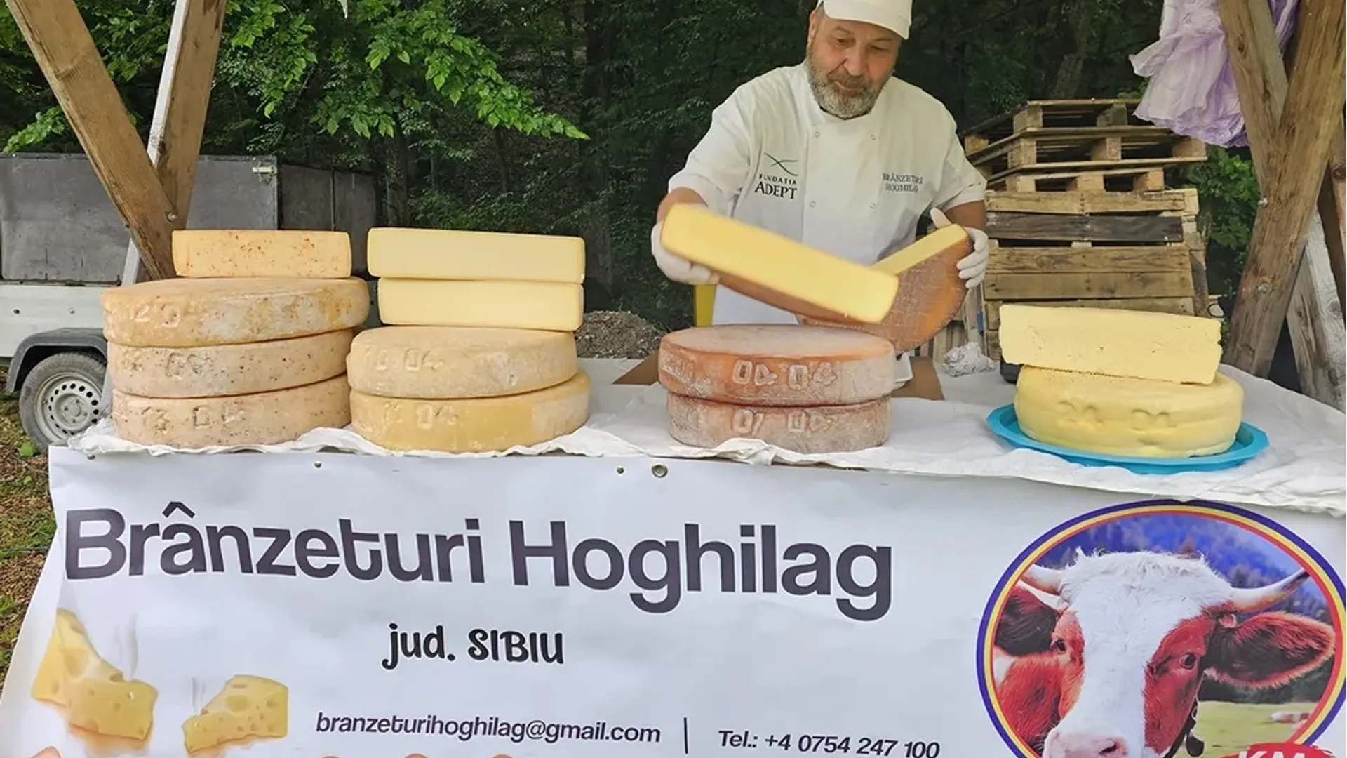 Producător de brânzeturi la un stand cu roți și calupuri de brânză maturată.