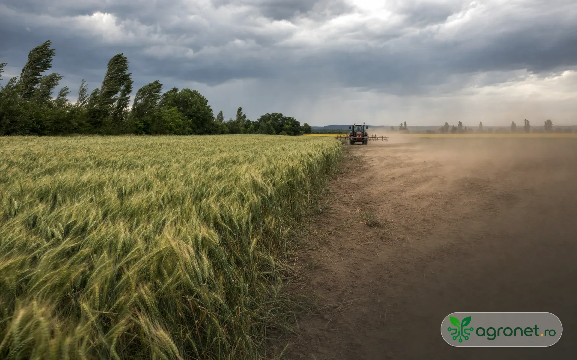 Utilaj agricol pe un câmp de vară, în condiții de vânt și cer variabil.