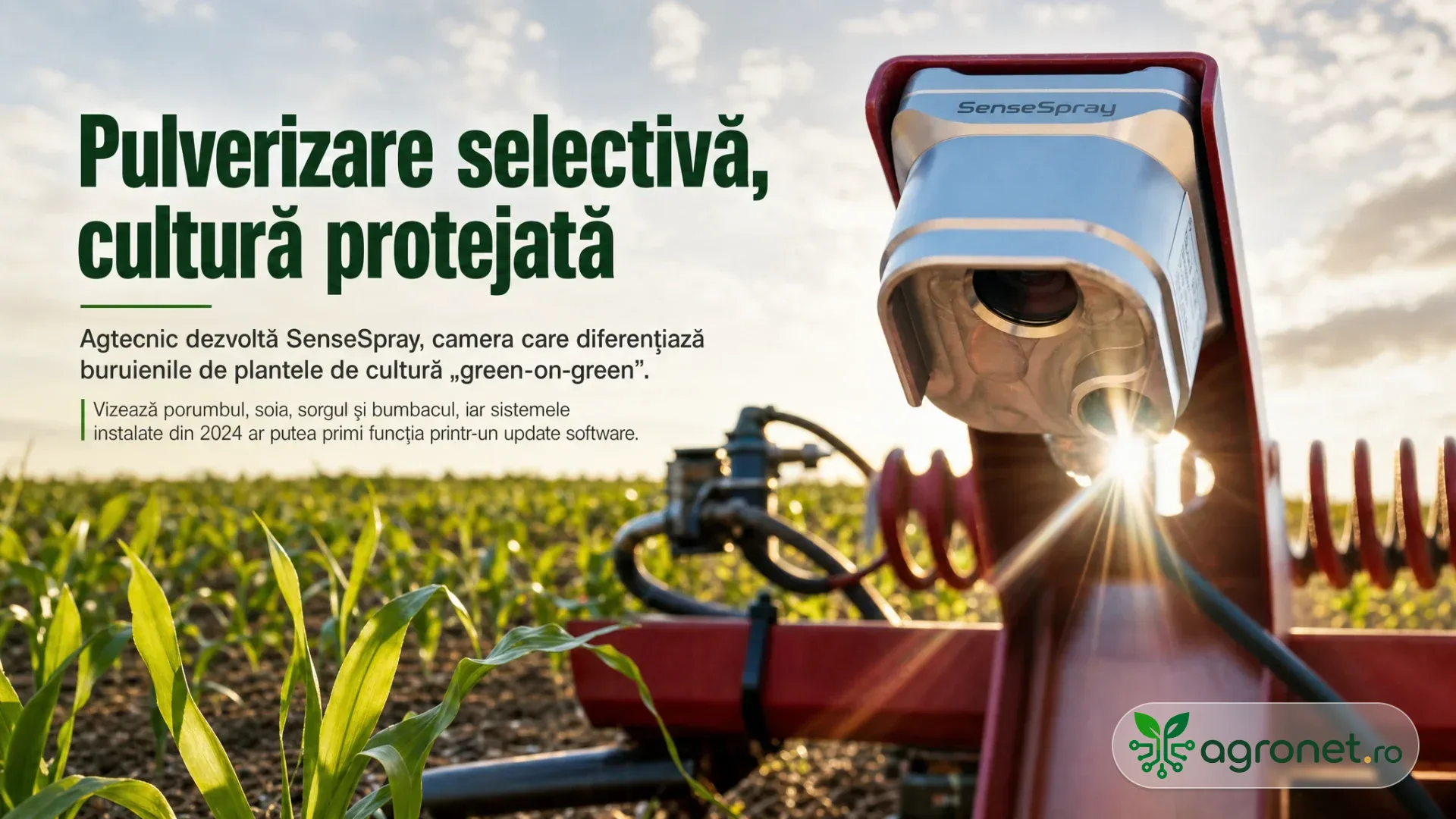 Cameră montată pe un utilaj de stropit deasupra unui câmp cu plante tinere de porumb, la apus.