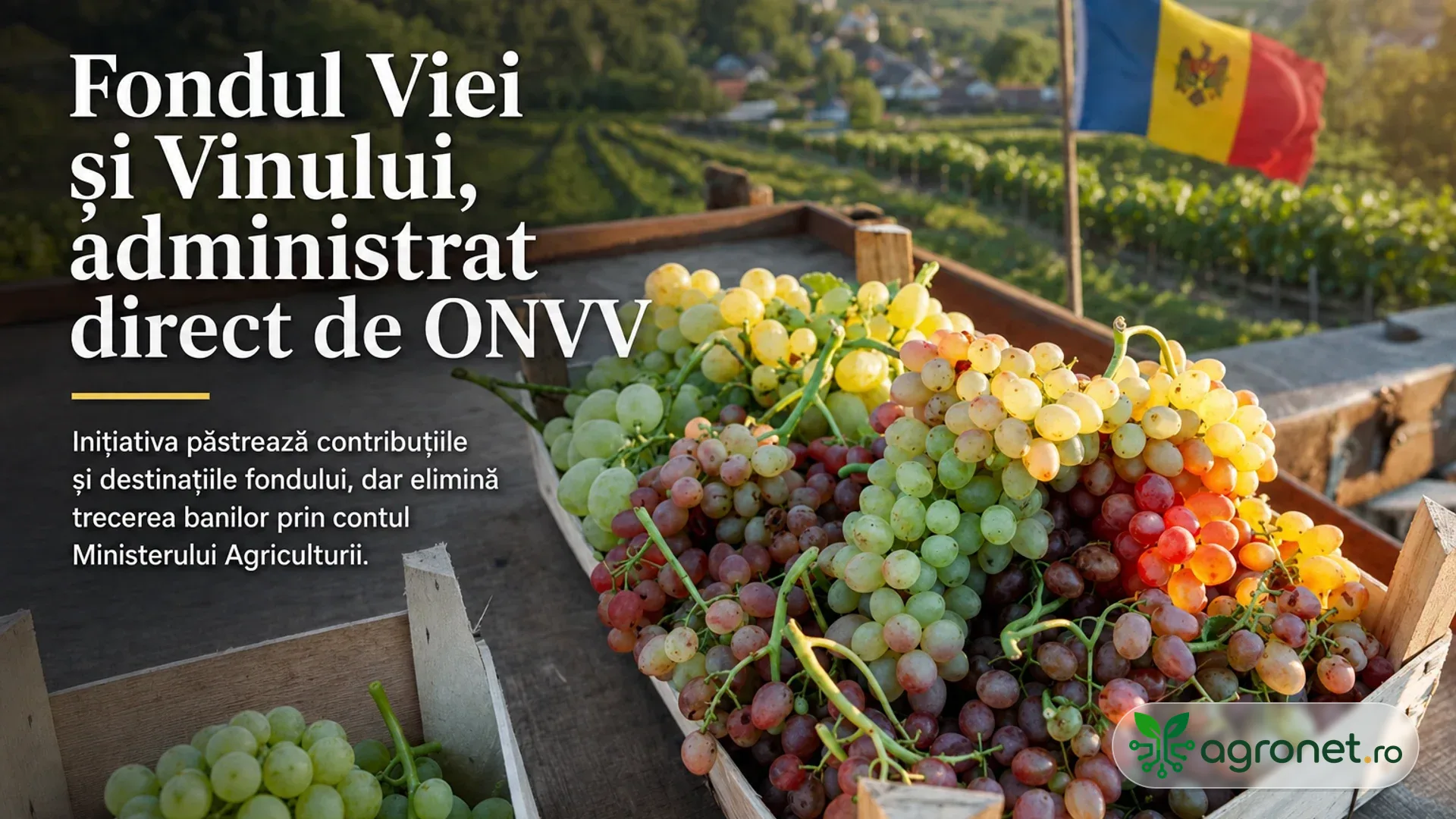 Republica Moldova schimbă din nou mecanismul de administrare a Fondului Viei și Vinului
