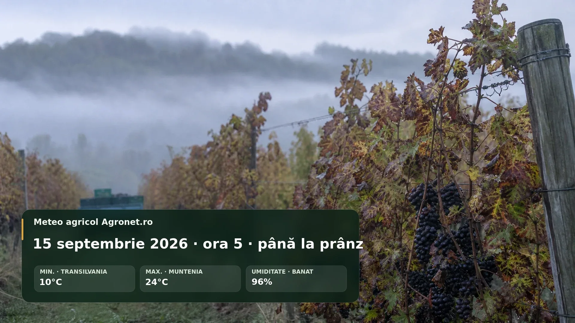 Utilaj agricol într-un câmp de toamnă, într-o dimineață cu umezeală ridicată