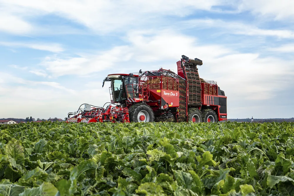 Combină Holmer Terra Dos recoltează sfeclă într-un câmp verde