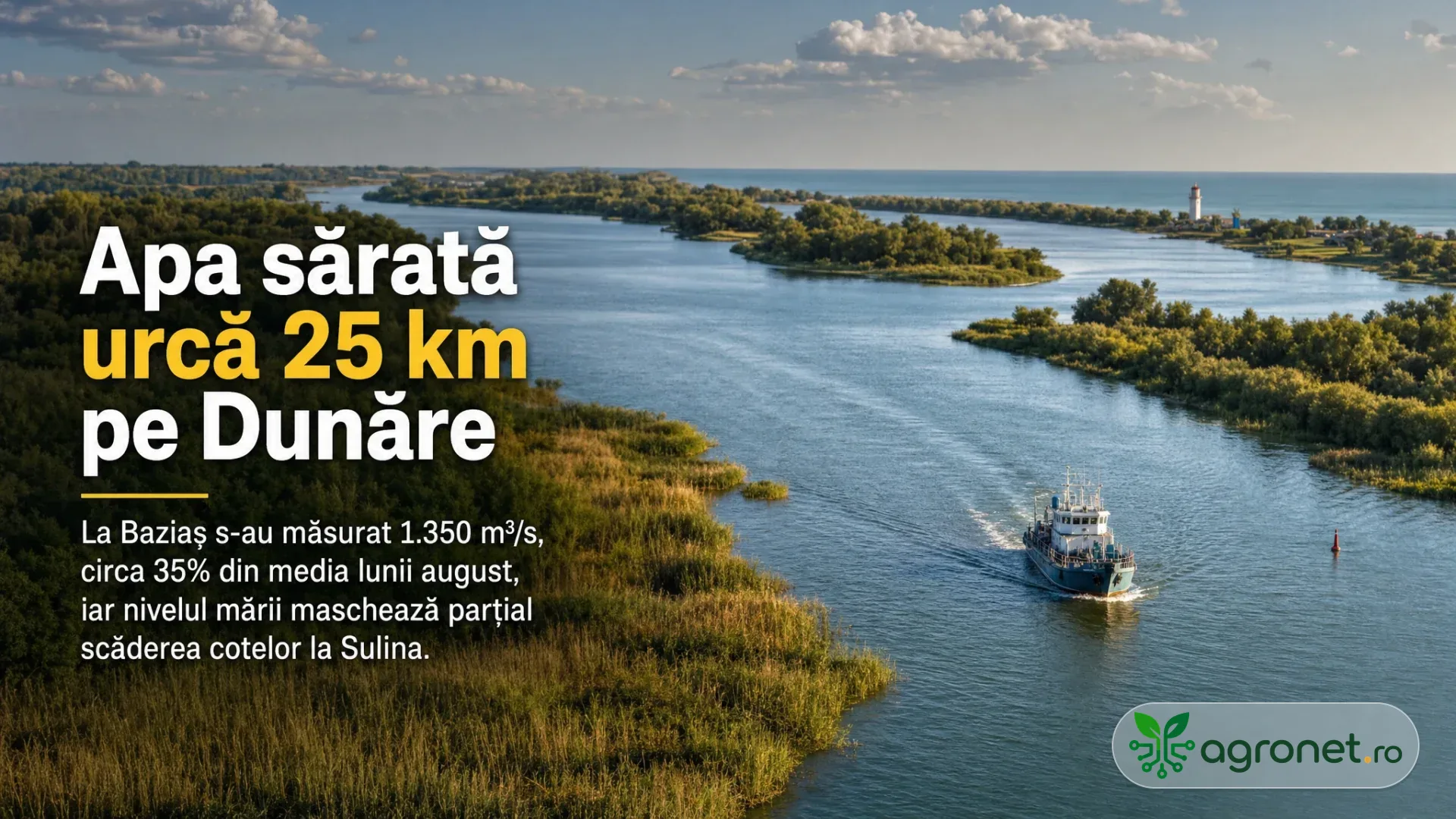 Curs larg de apă printr-o zonă de deltă, cu vegetație pe maluri, o navă în deplasare și marea la orizont.
