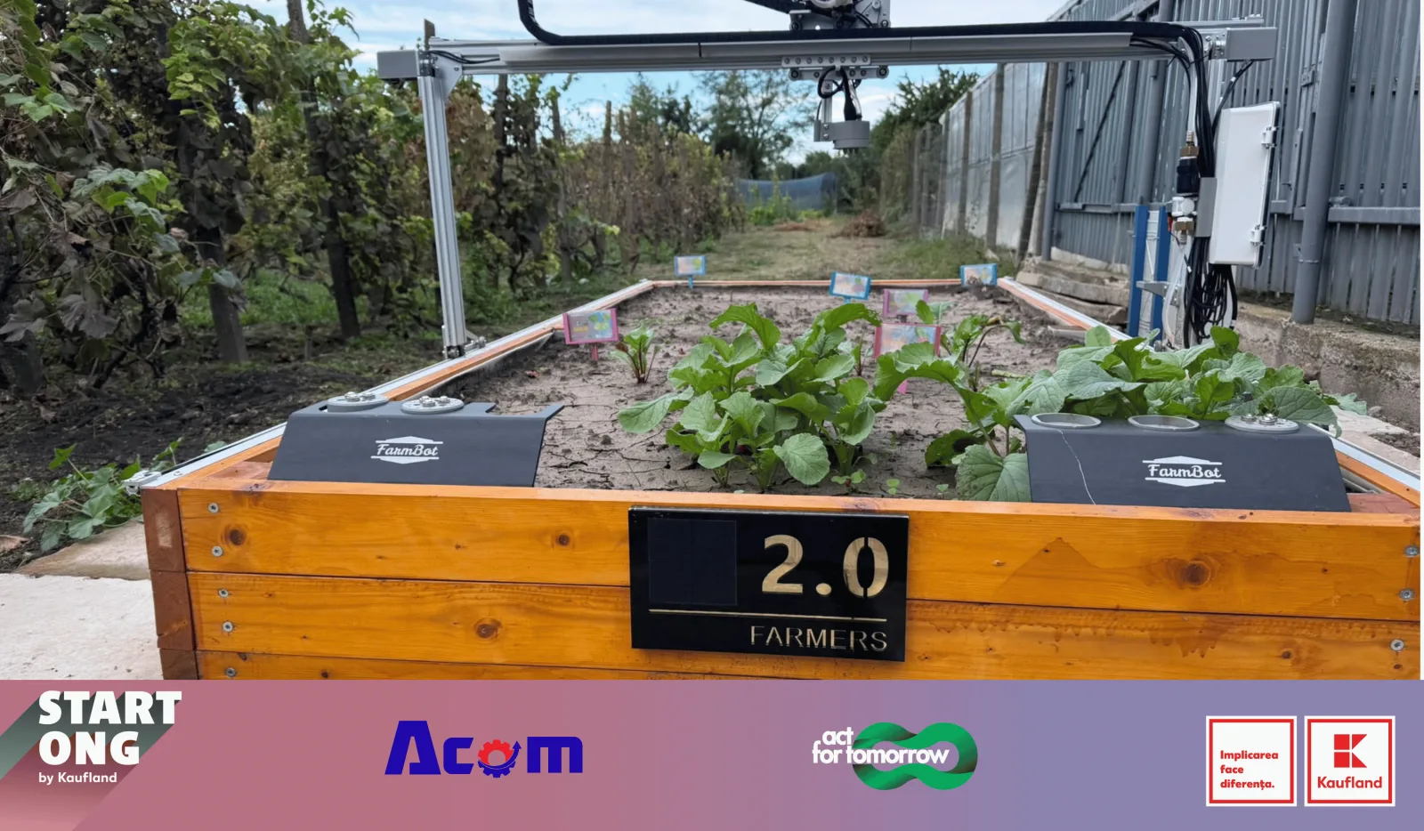 Robot agricol pe șine deasupra unui strat de legume în grădină
