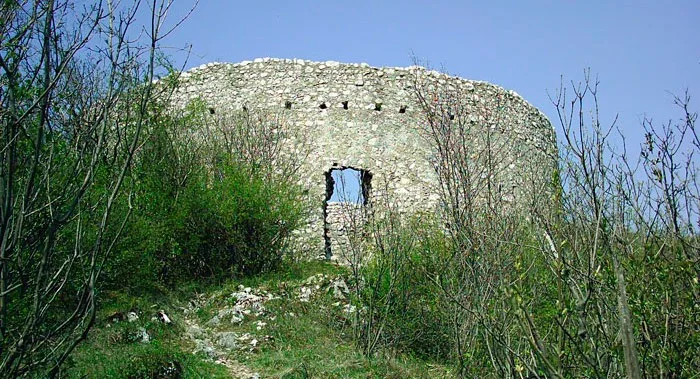 Ruine de zid din piatră, ascunse între arbuști pe culme