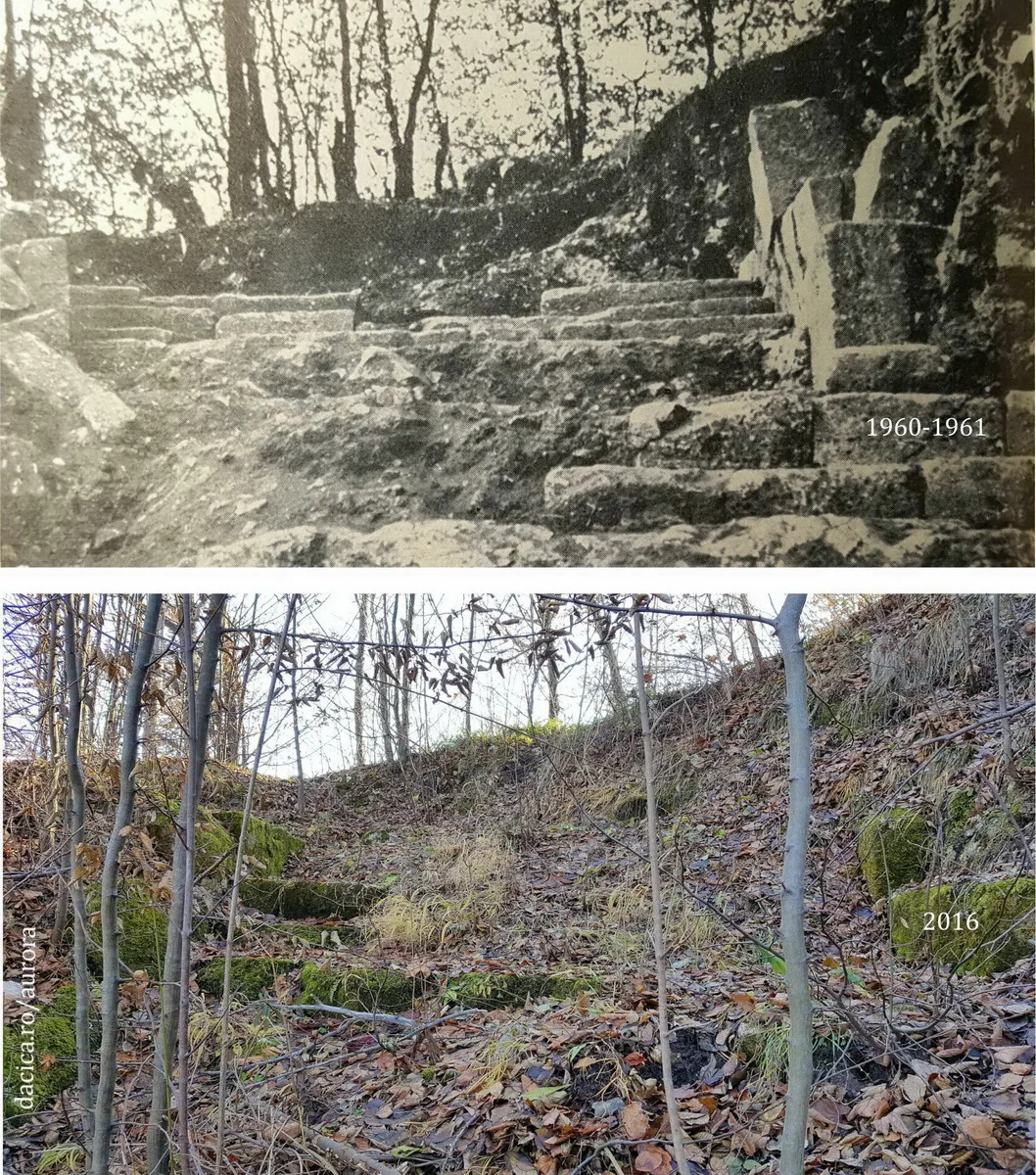 Colaj cu trepte de piatră în 1960–1961 și zonă împădurită în 2016