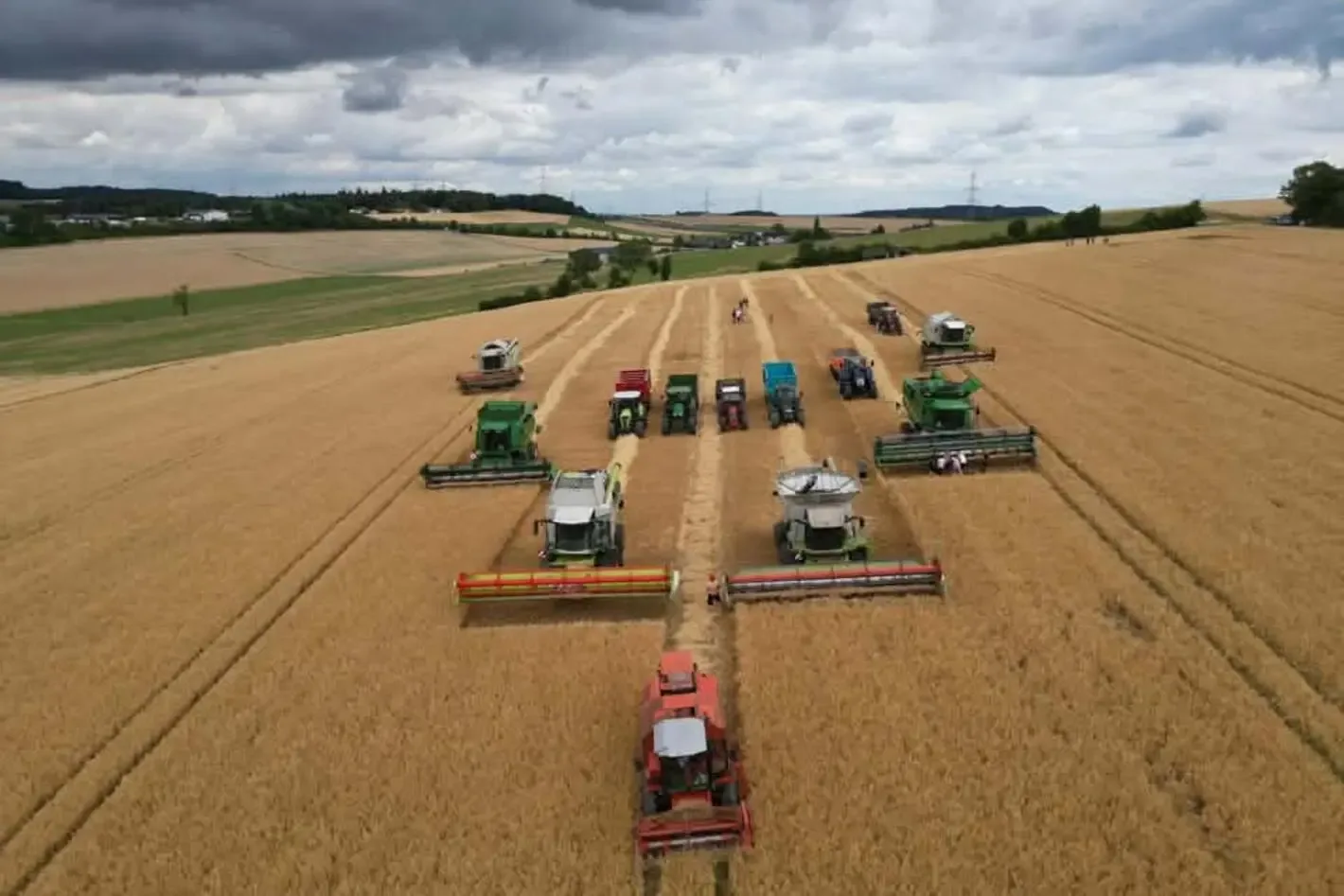 Combine agricole recoltează grâu, însoțite de tractoare pe câmp