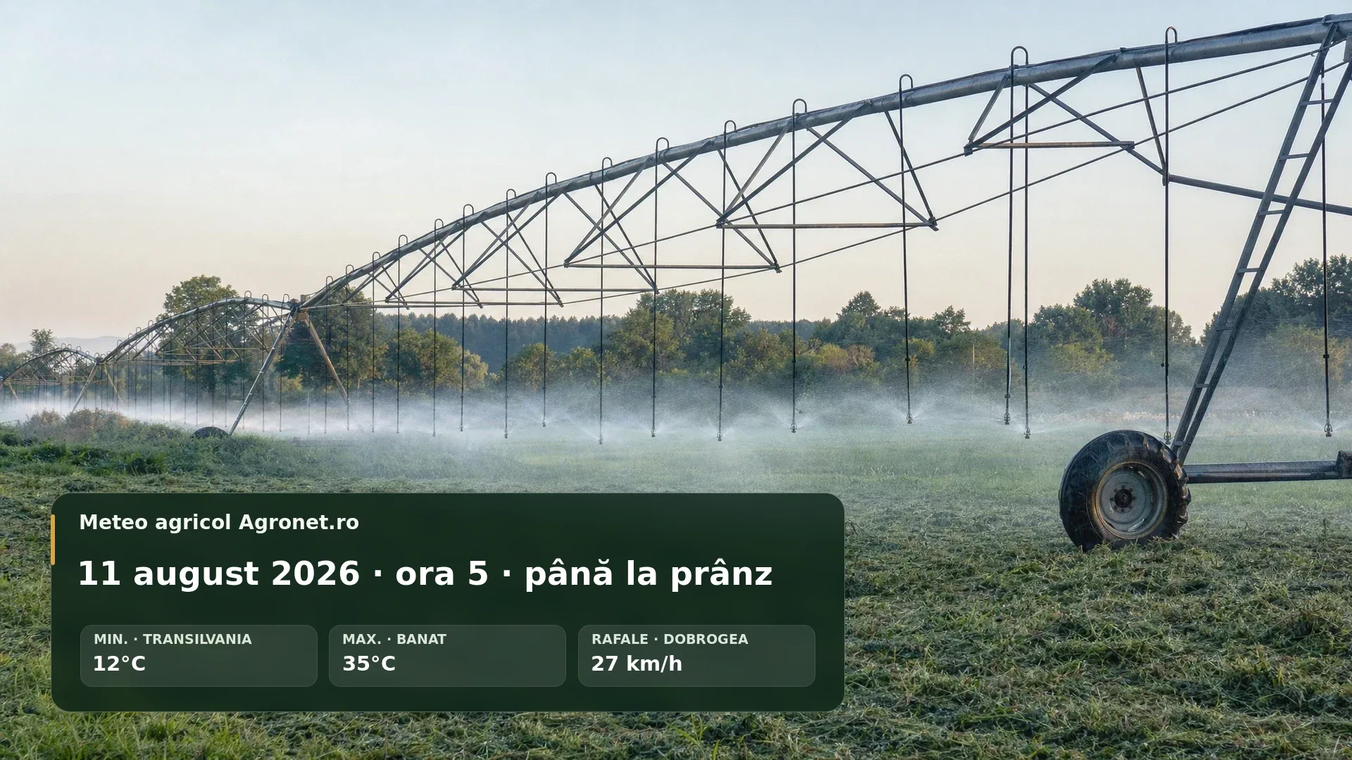 Câmp agricol la începutul unei zile senine și călduroase de august