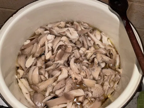 Ciorbă falsă de burtă cu Pleurotus și coadă de vită – Rețeta pregătită prin fierbere lentă