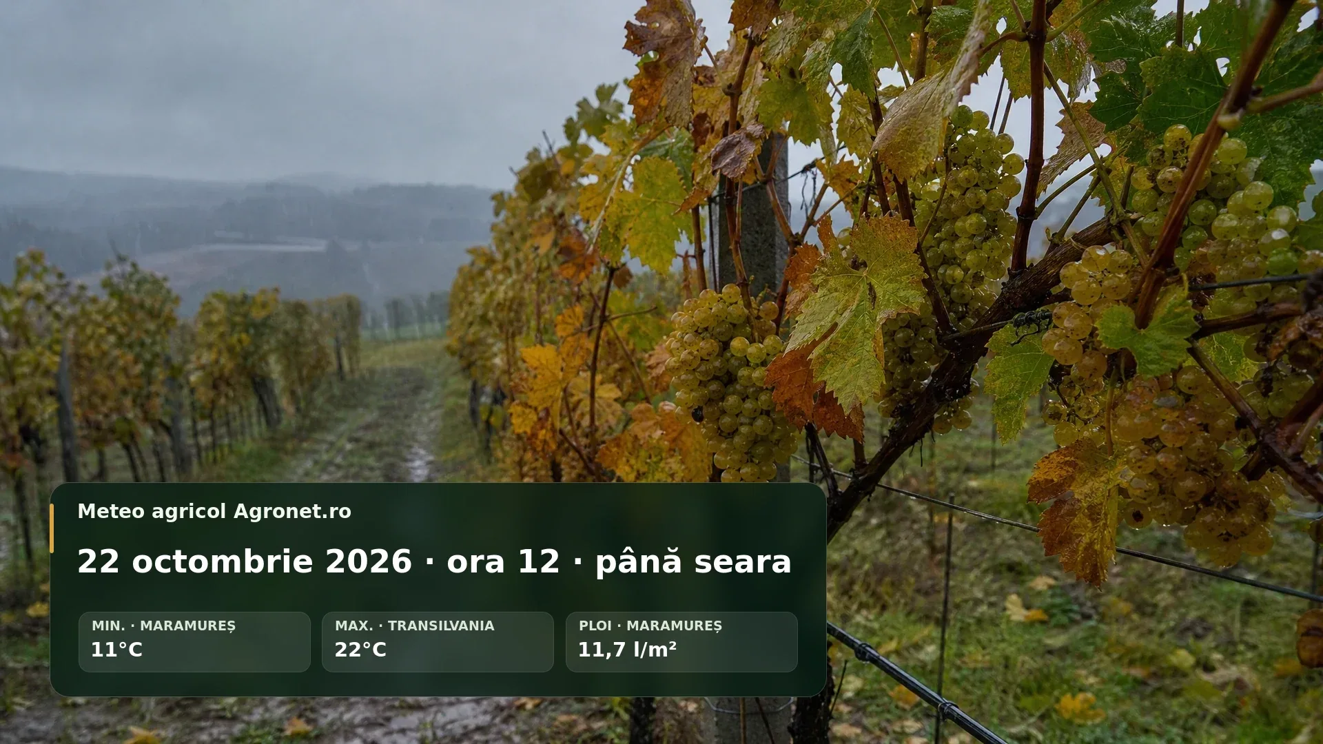 Utilaj agricol pe câmp de toamnă sub cer înnorat