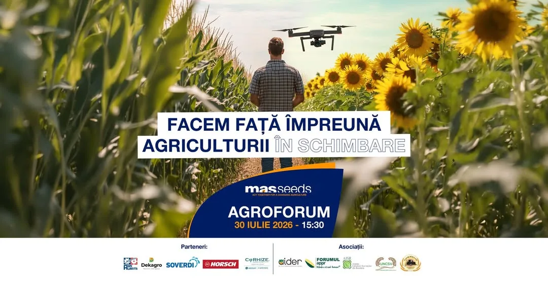 Fermier între porumb și floarea-soarelui, cu dronă deasupra culturilor
