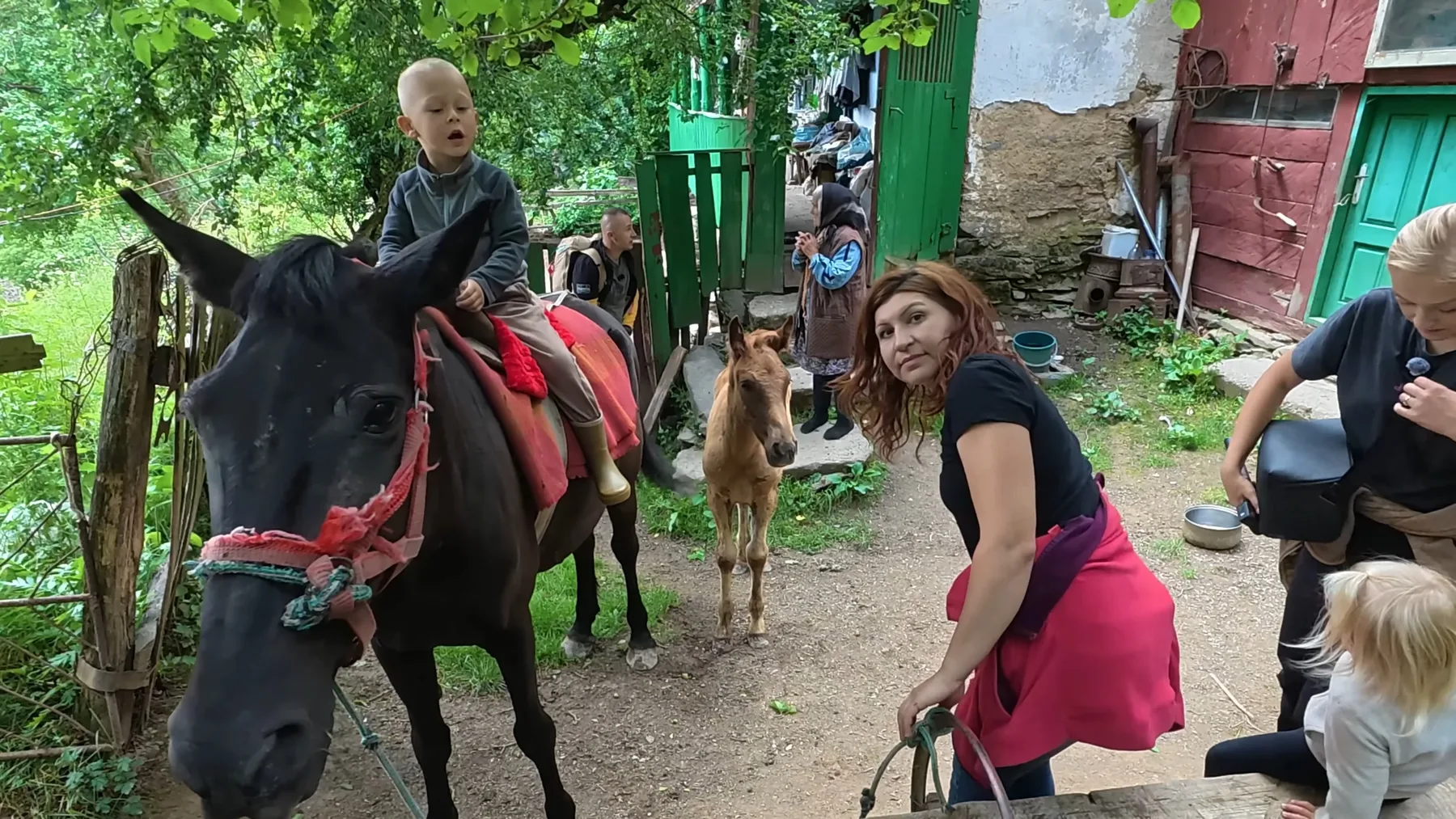 Femeie lângă iapă neagră, mânz și copii într-o gospodărie montană
