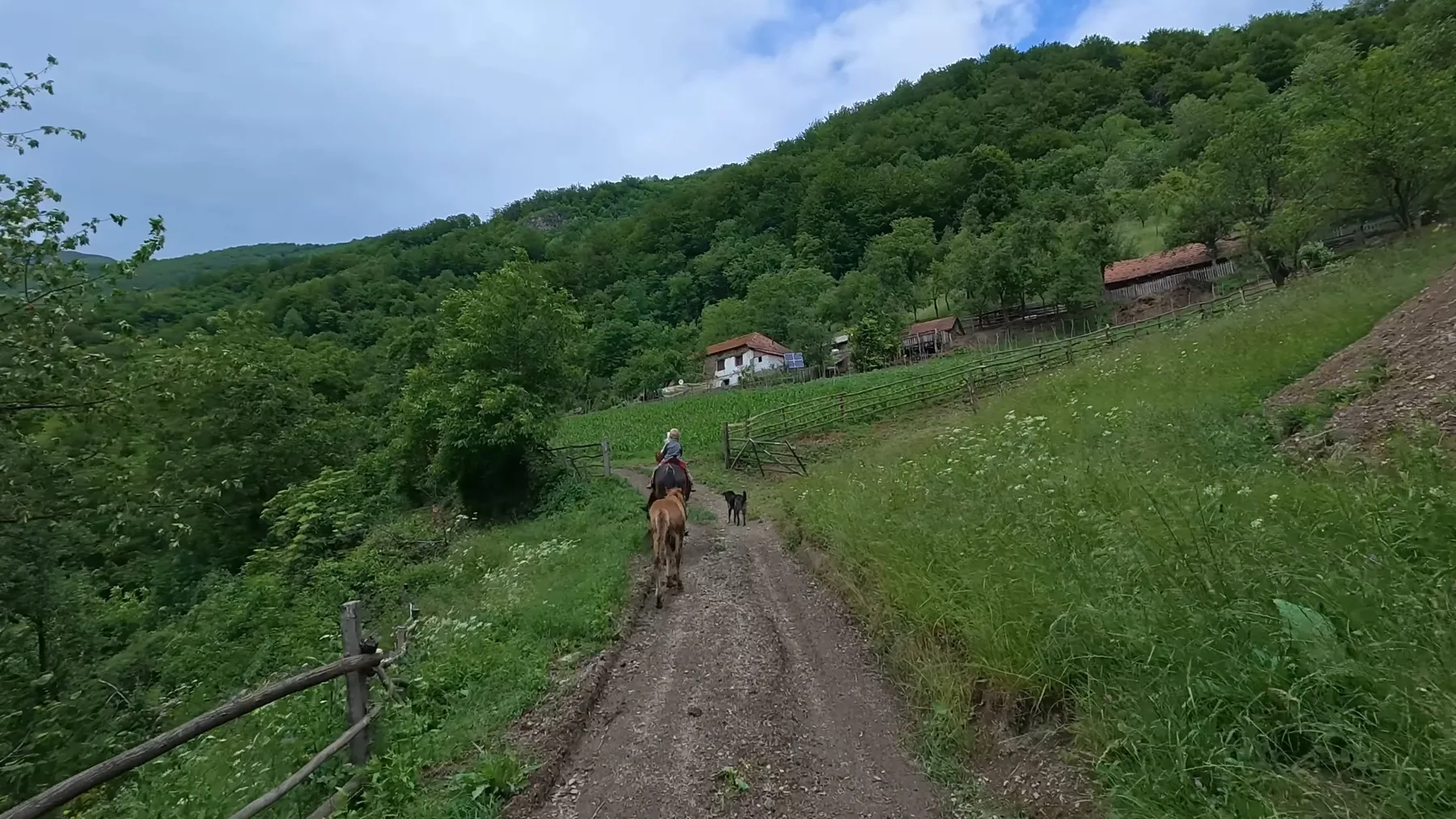 Călăreț pe drum de pământ, între fânețe și case de munte