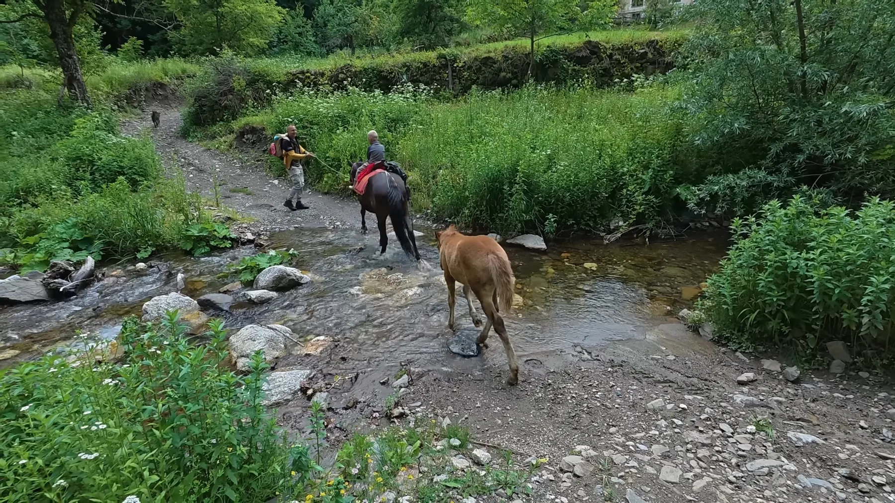 Drumeți cu cai traversează un pârâu pe o potecă montană