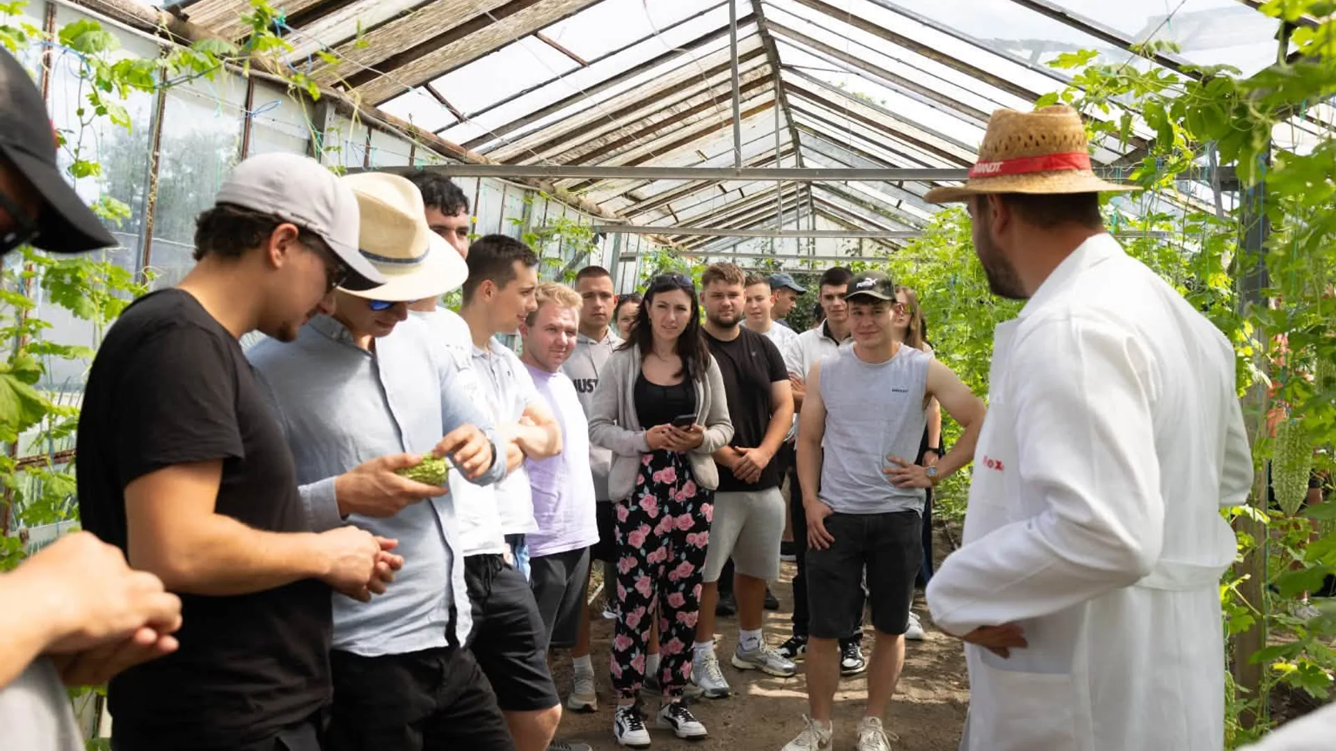 Grup de vizitatori într-o seră, lângă plante de tomate