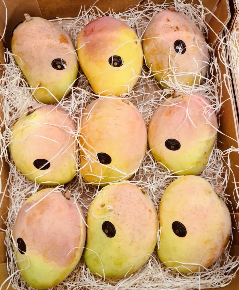 Fructe de mango ambalate în ladă de carton, pe fibre vegetale