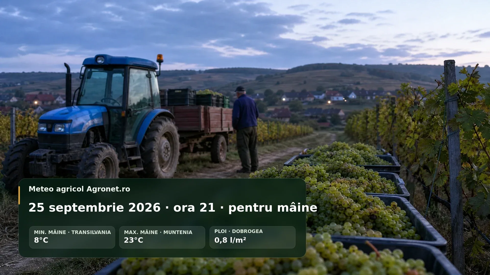 Ilustrație agricolă de toamnă pentru ferestrele de lucru din 26 septembrie.