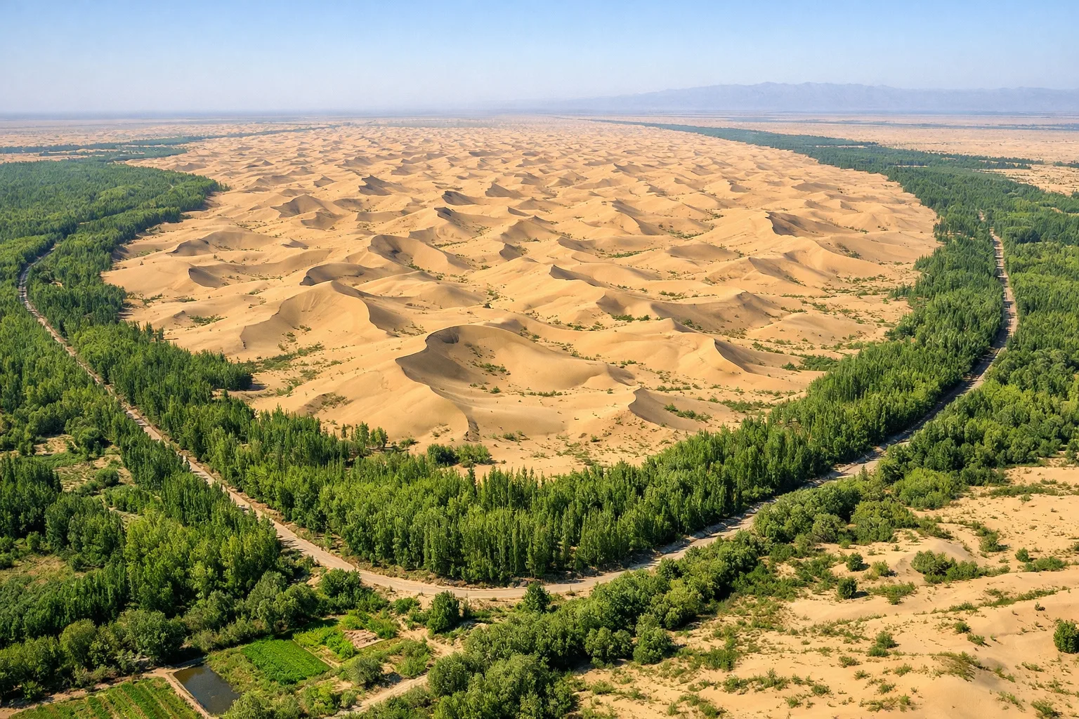 Dune deșertice înconjurate de o centură compactă de vegetație