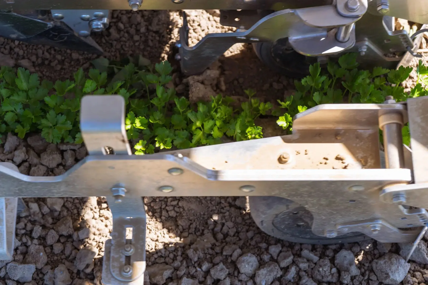 Roboții FarmDroid FD20 au lucrat mii de hectare în 2026 – producătorul prezintă date despre însămânțare și plivit