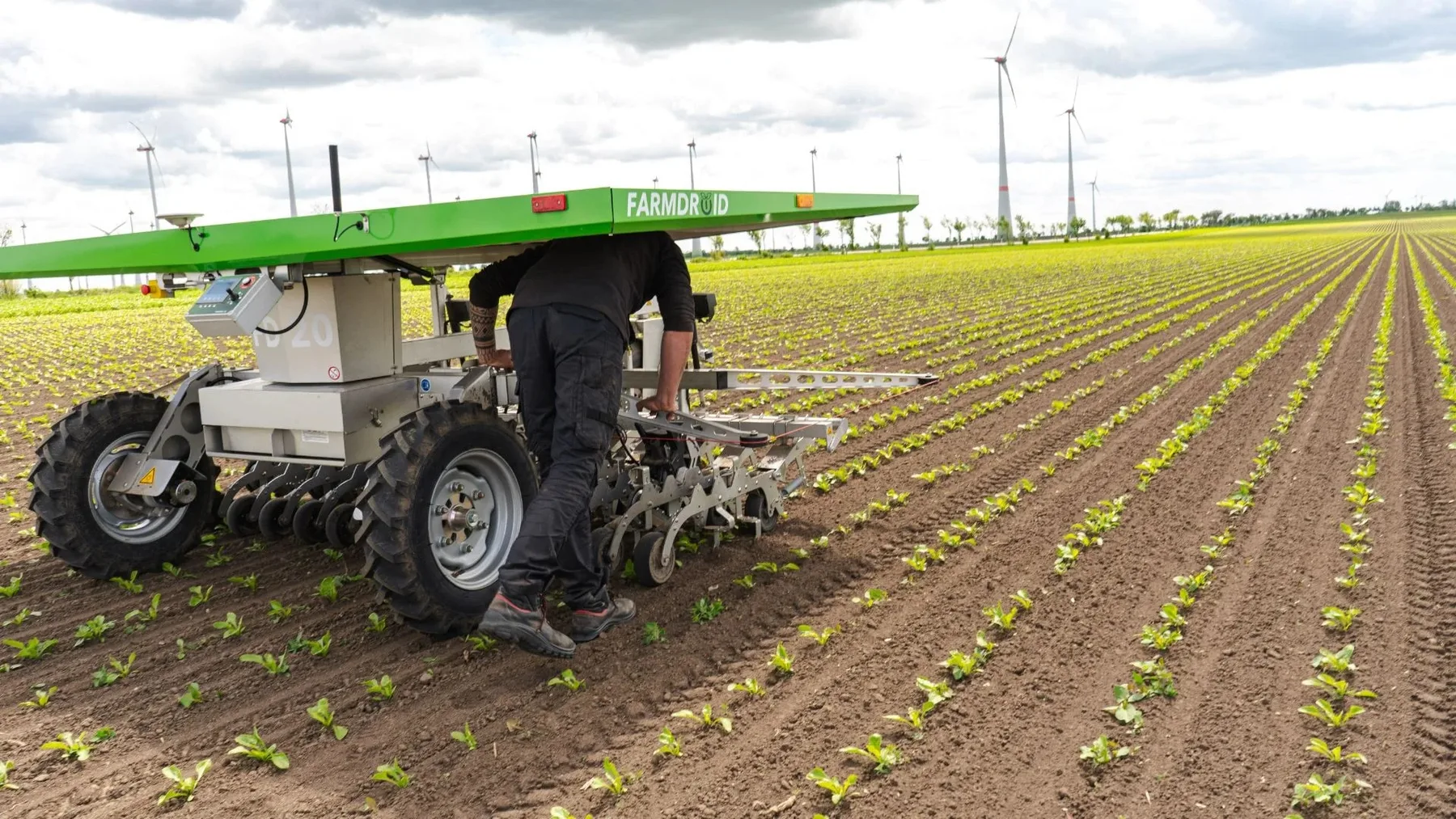 Roboții FarmDroid FD20 au lucrat mii de hectare în 2026 – producătorul prezintă date despre însămânțare și plivit