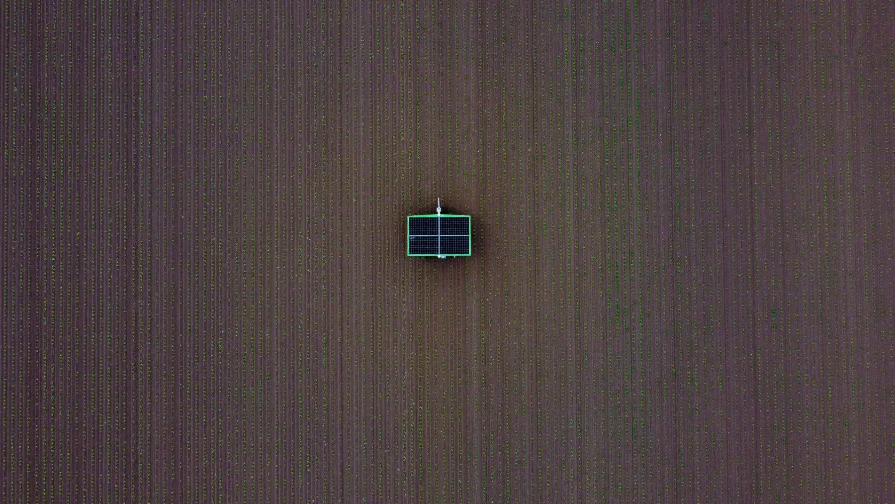 Roboții FarmDroid FD20 au lucrat mii de hectare în 2026 – producătorul prezintă date despre însămânțare și plivit