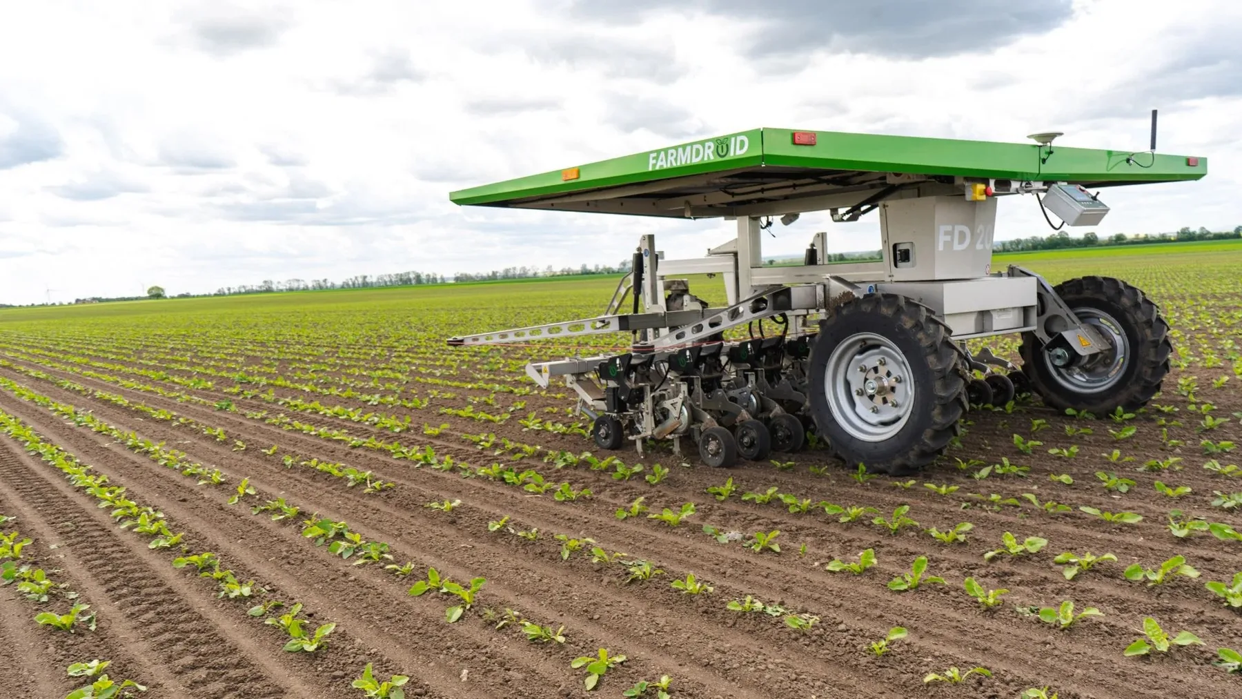 Roboții FarmDroid FD20 au lucrat mii de hectare în 2026 – producătorul prezintă date despre însămânțare și plivit