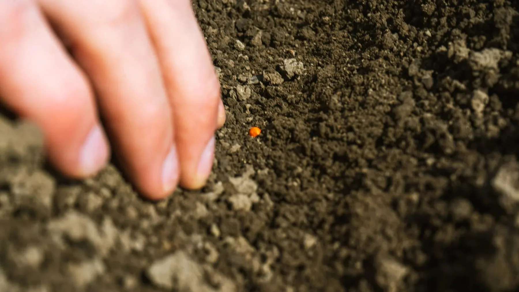Roboții FarmDroid FD20 au lucrat mii de hectare în 2026 – producătorul prezintă date despre însămânțare și plivit