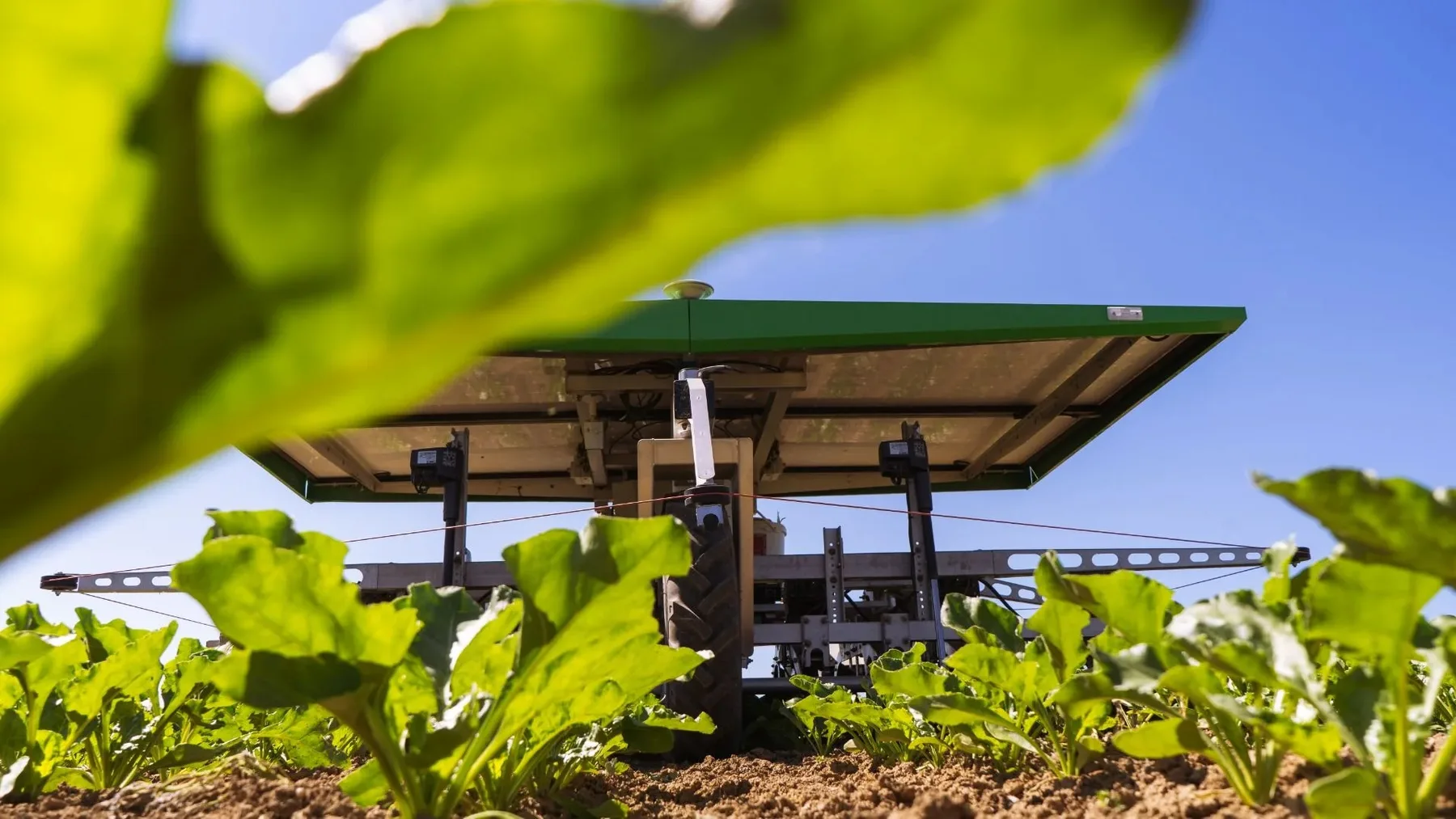 Roboții FarmDroid FD20 au lucrat mii de hectare în 2026 – producătorul prezintă date despre însămânțare și plivit