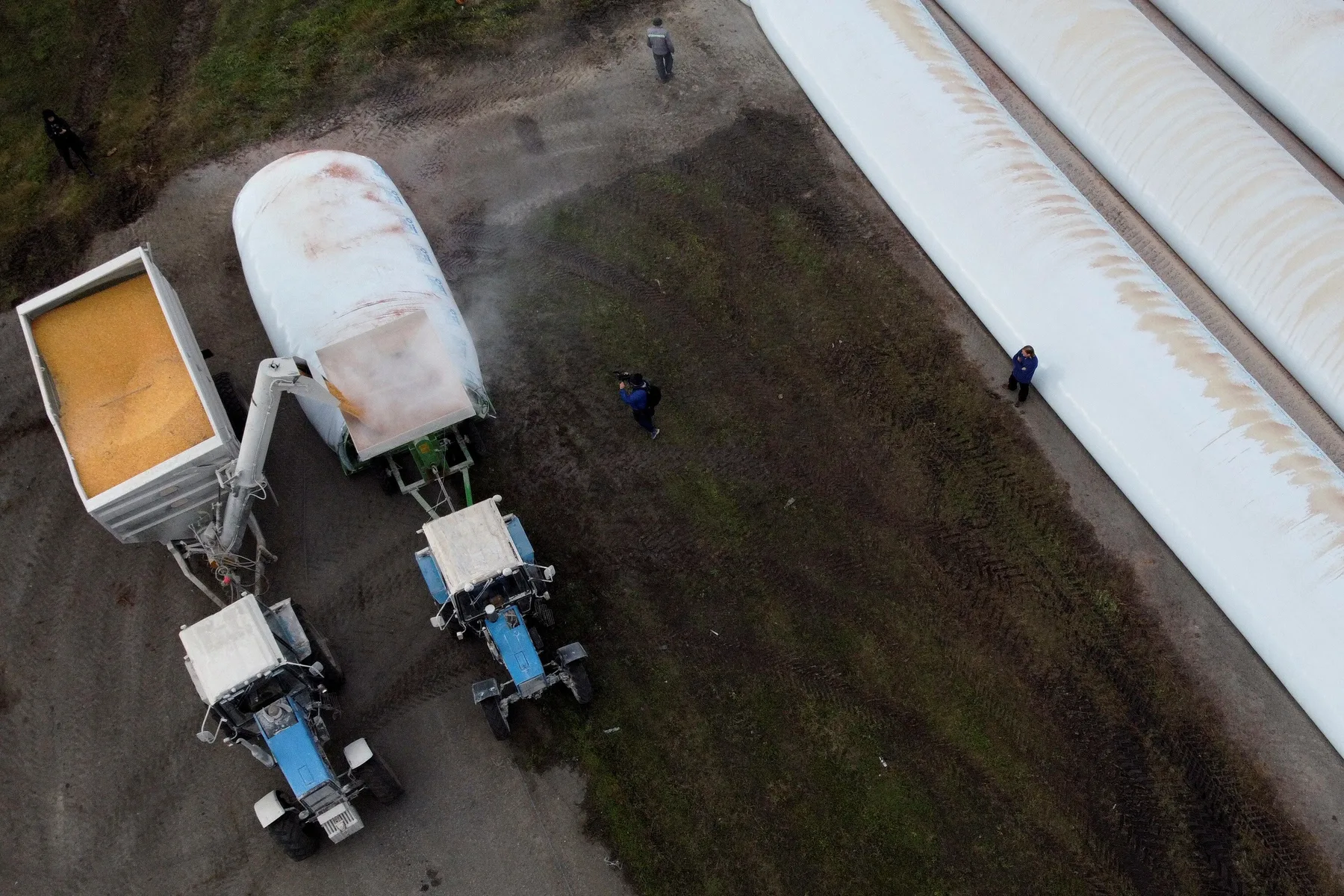 Tractoare descarcă cereale în saci albi pentru depozitare temporară