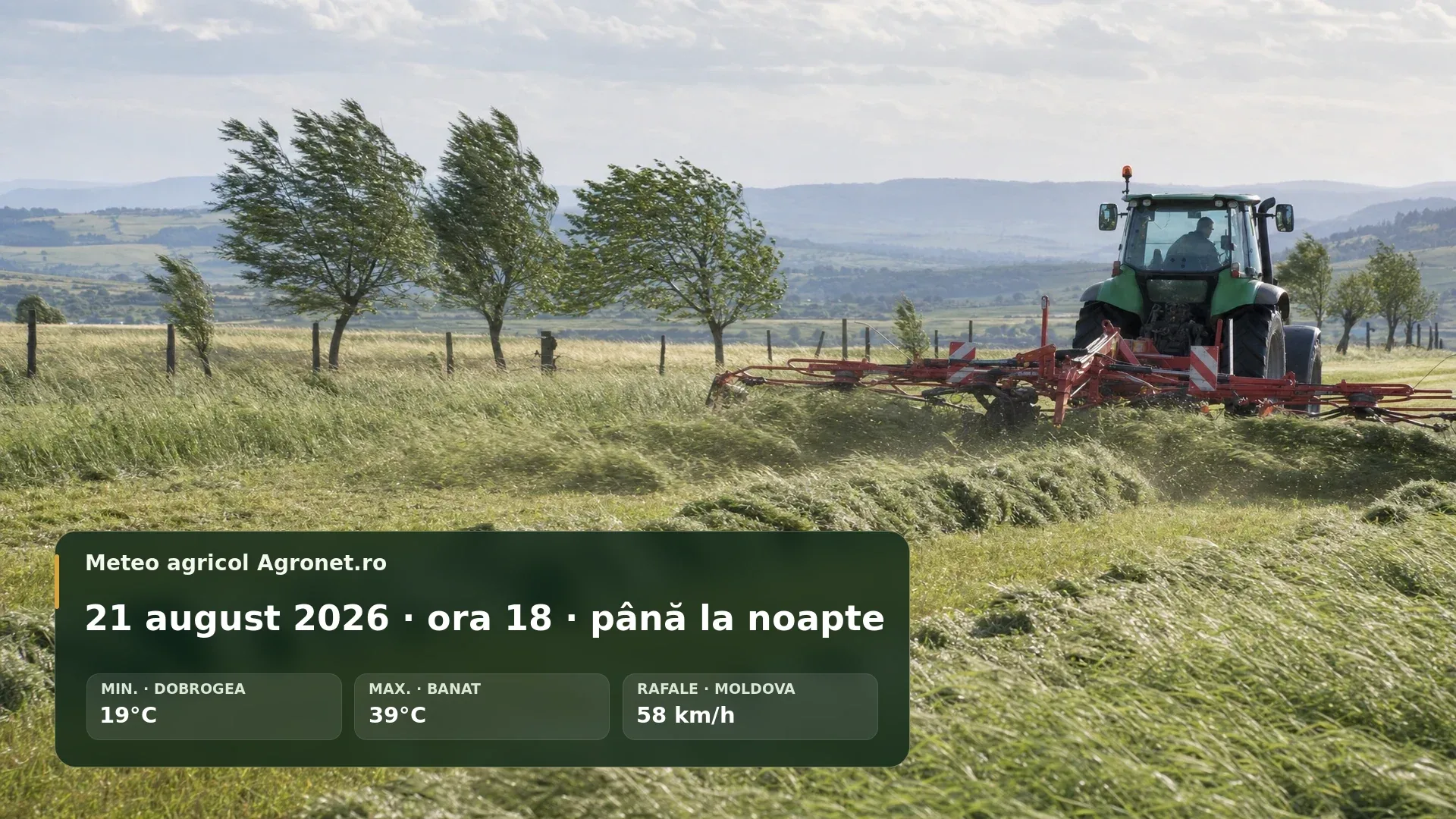 Câmp agricol la sfârșit de zi, în condiții de vreme caldă și vânt.