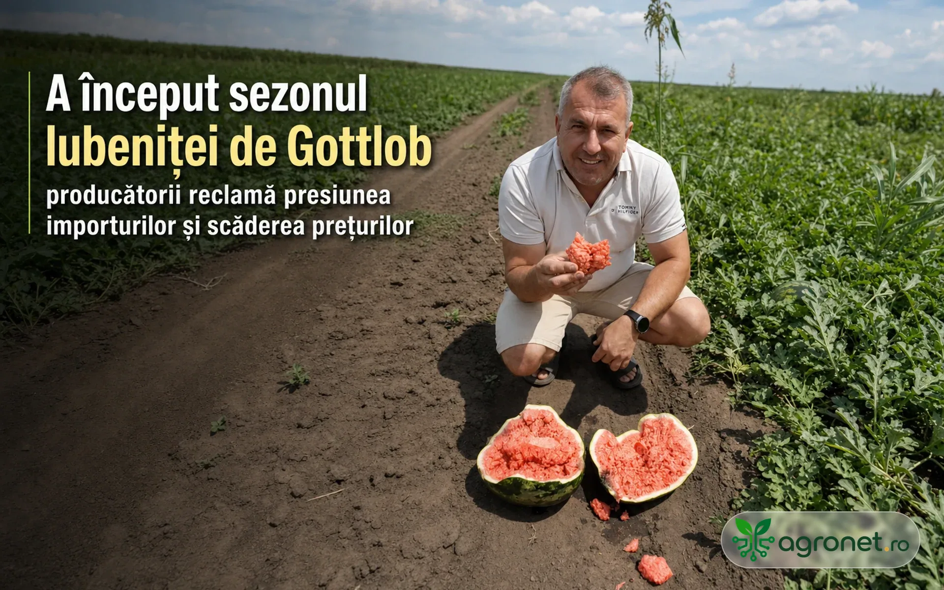 A început sezonul lubeniței de Gottlob - producătorii reclamă presiunea importurilor și scăderea prețurilor