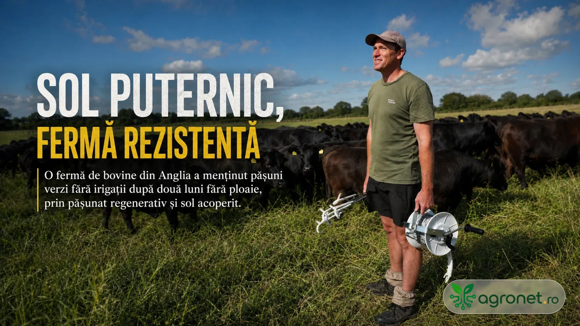 Fermier stând pe o pășune verde lângă un grup de bovine negre, ținând echipament pentru gard electric.