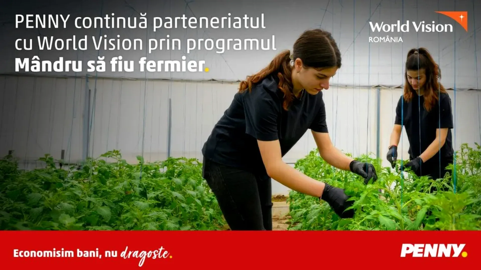 Două tinere îngrijesc plante verzi într-o seră, purtând mănuși de lucru.