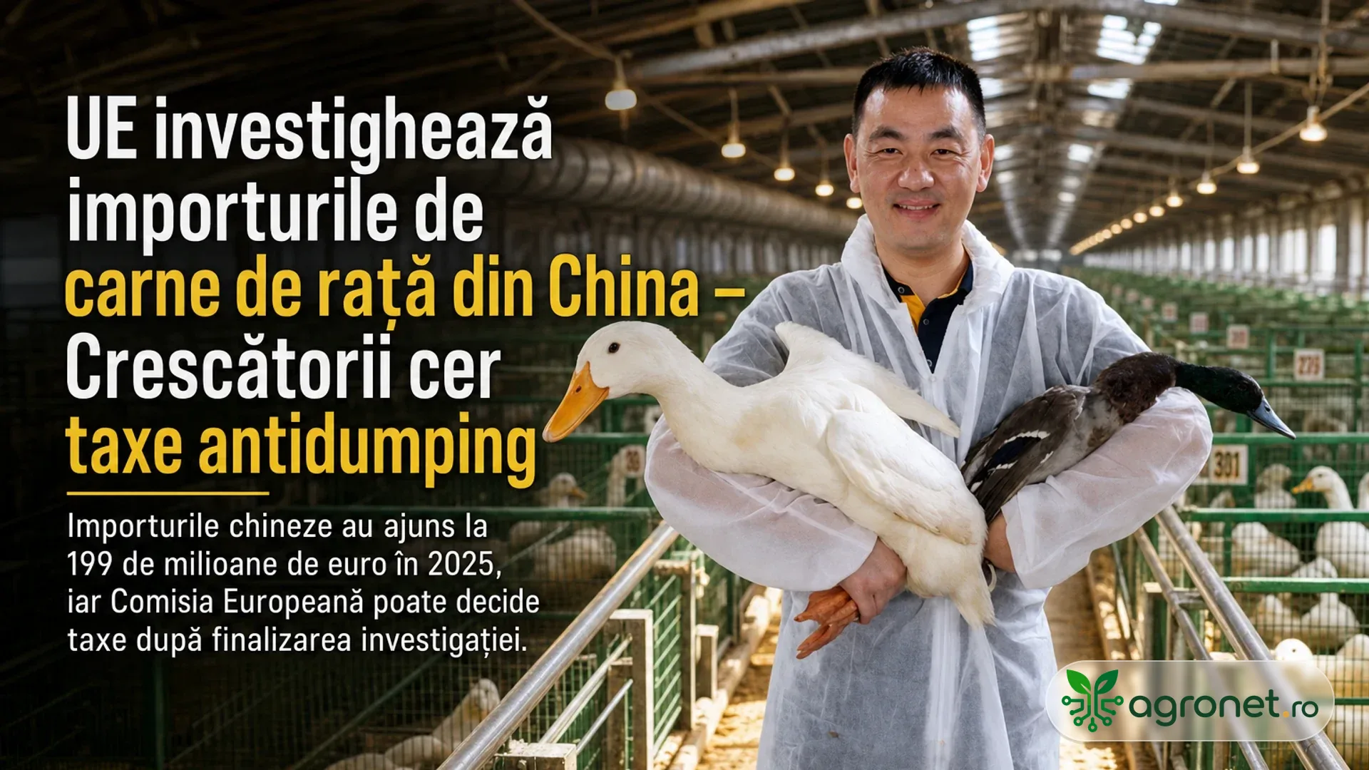 UE investighează importurile de carne de rață din China – Crescătorii cer taxe antidumping