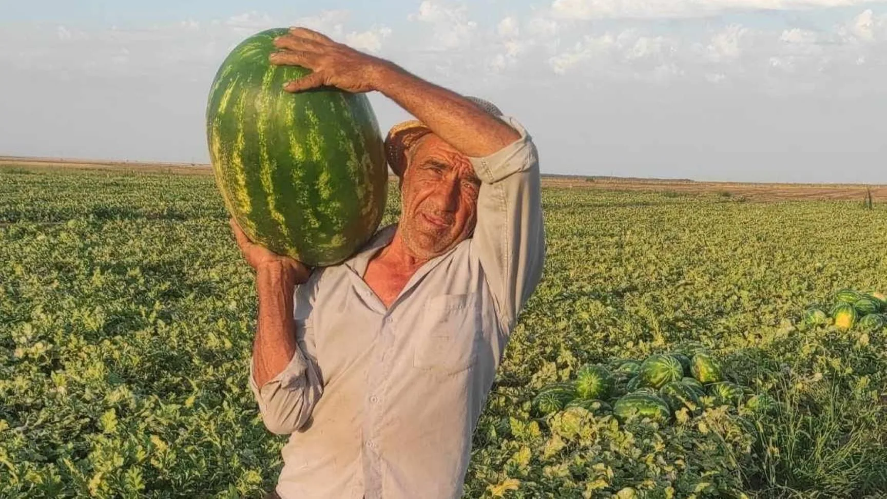 Bărbat ținând o lubeniță mare pe umăr, în câmp
