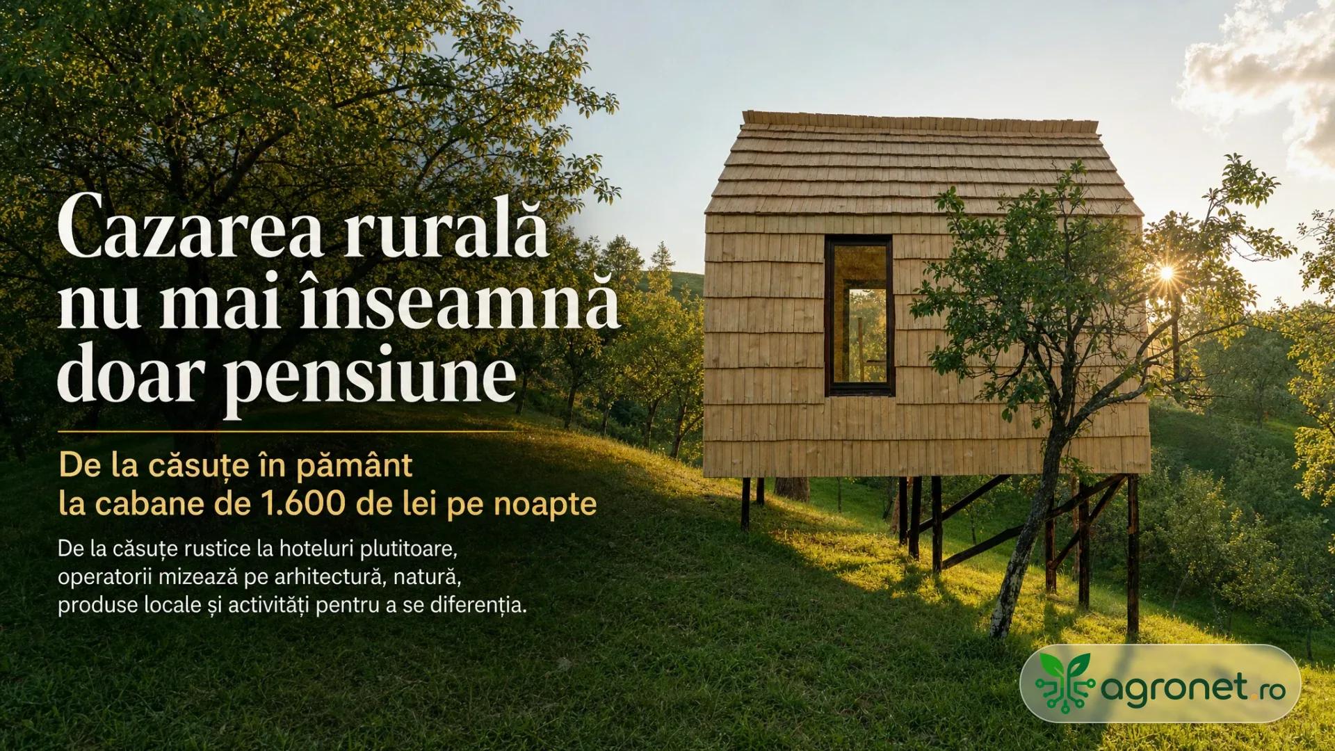 Cabană mică din lemn, ridicată pe piloni, pe un deal verde cu pomi, la apus.