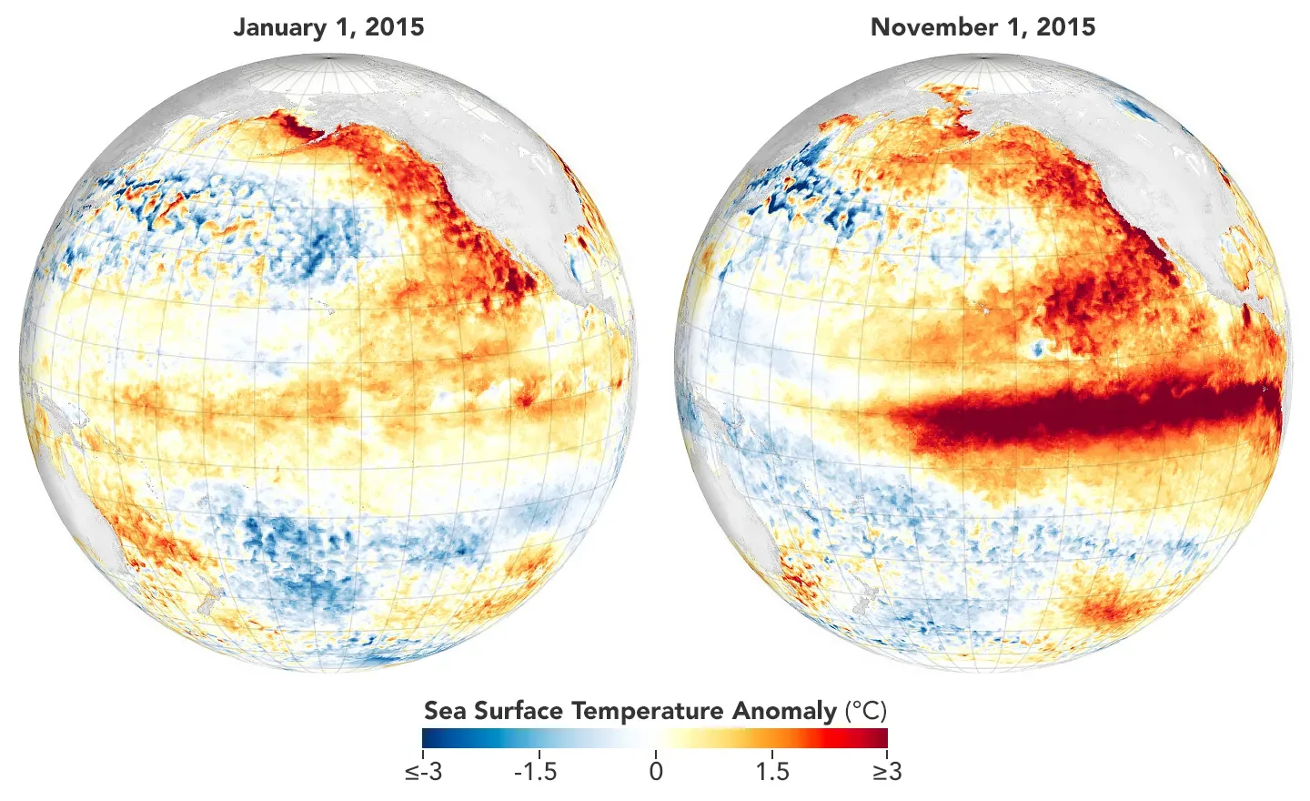 Anomalii ale temperaturii la suprafața oceanului, comparate între ianuarie și noiembrie 2015