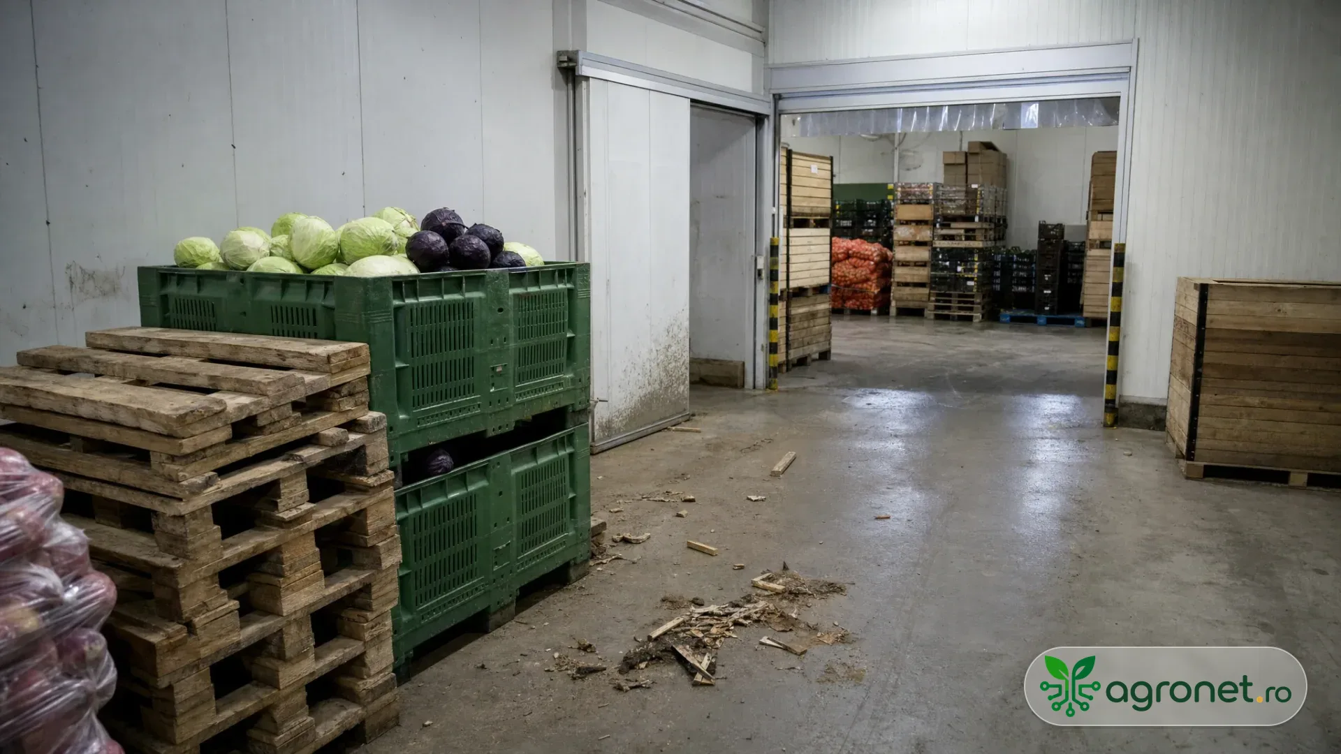 Depozit frigorific agricol bine iluminat, cu paleți de lăzi de fructe și legume așezați ordonat, zonă de încărcare și evidență de stoc la intrare.