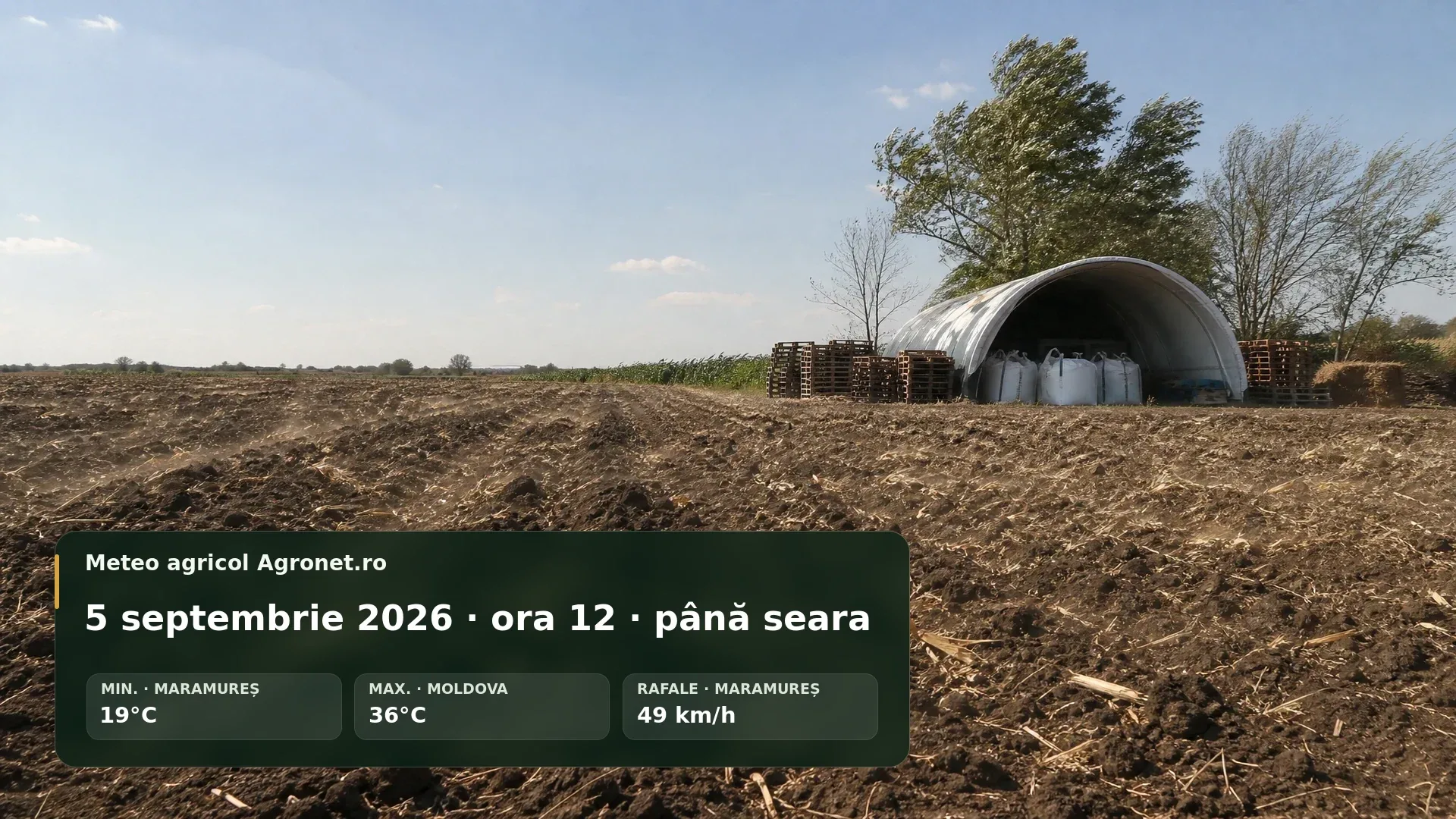Utilaj agricol pe câmp uscat, în condiții de vânt și soare