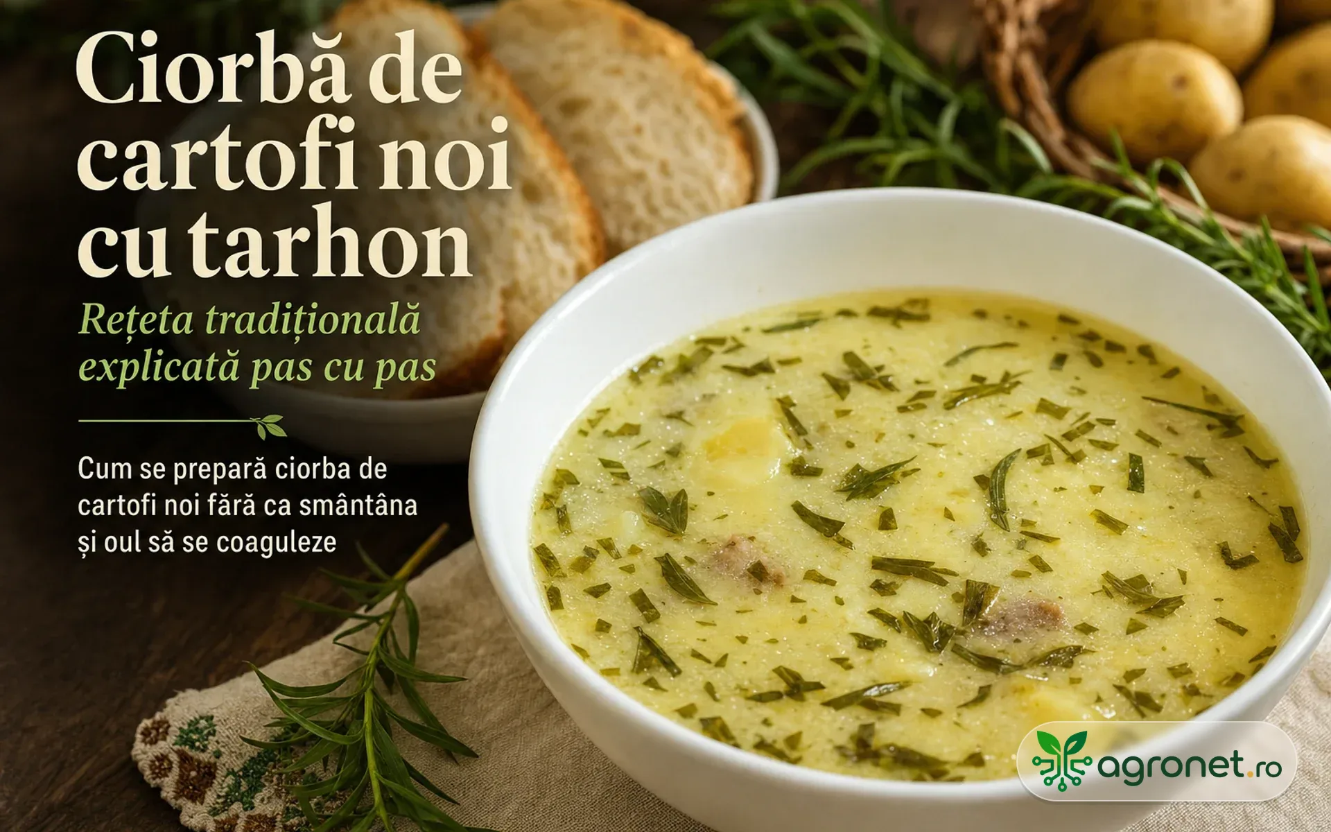 Ciorbă de cartofi noi cu tarhon – Rețeta tradițională explicată pas cu pas