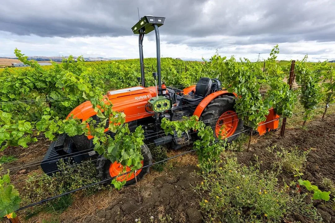 Tractor Kubota portocaliu lucrând între rânduri de viță-de-vie