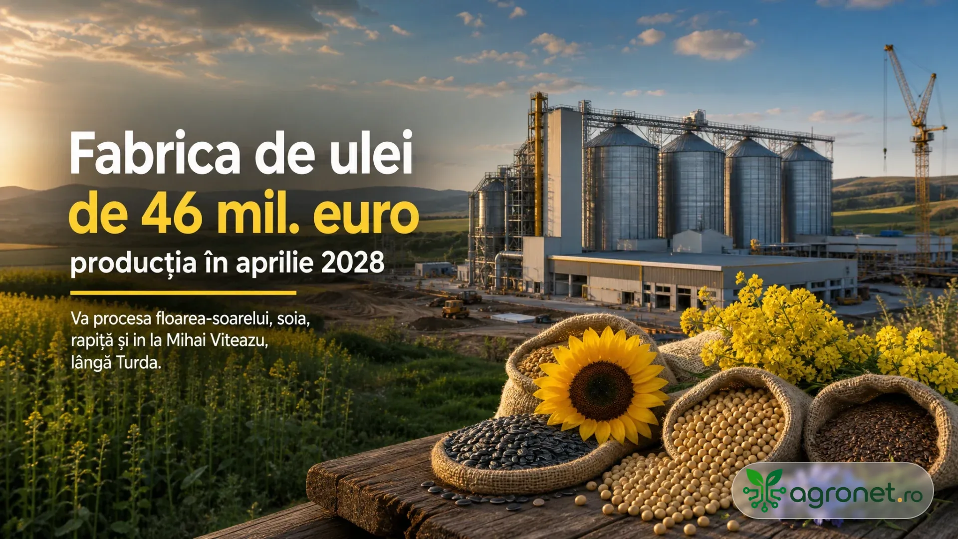 Silozuri și instalații industriale în construcție, cu saci de semințe oleaginoase și o floare-soarelui în prim-plan.