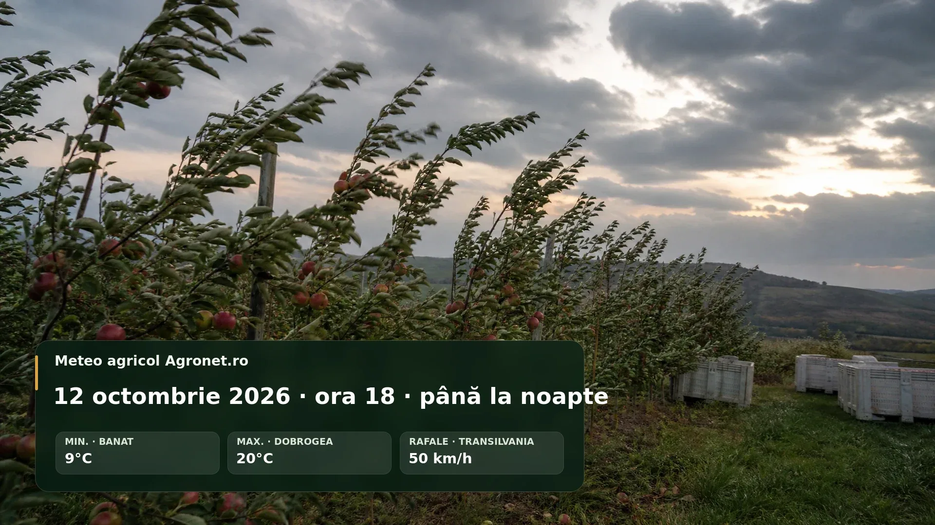 Utilaj agricol pe câmp sub cer înnorat, înainte de ploi de seară