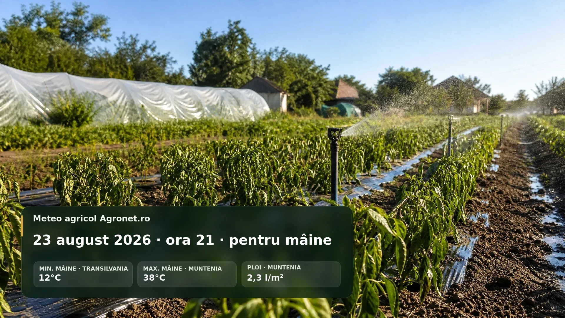 Buletin meteo agricol pentru România, cu accent pe caniculă și pregătirea lucrărilor din 24 august.