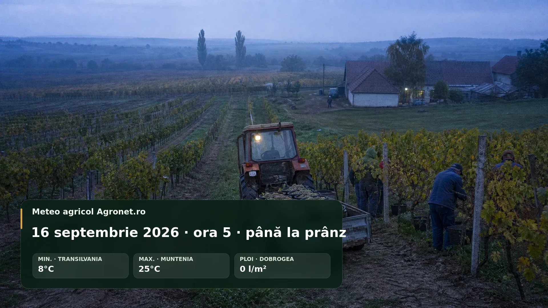 Utilaj agricol într-un câmp uscat într-o dimineață senină de septembrie