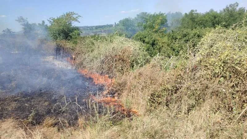 Flăcări ard vegetația uscată la marginea unui teren înfumurat