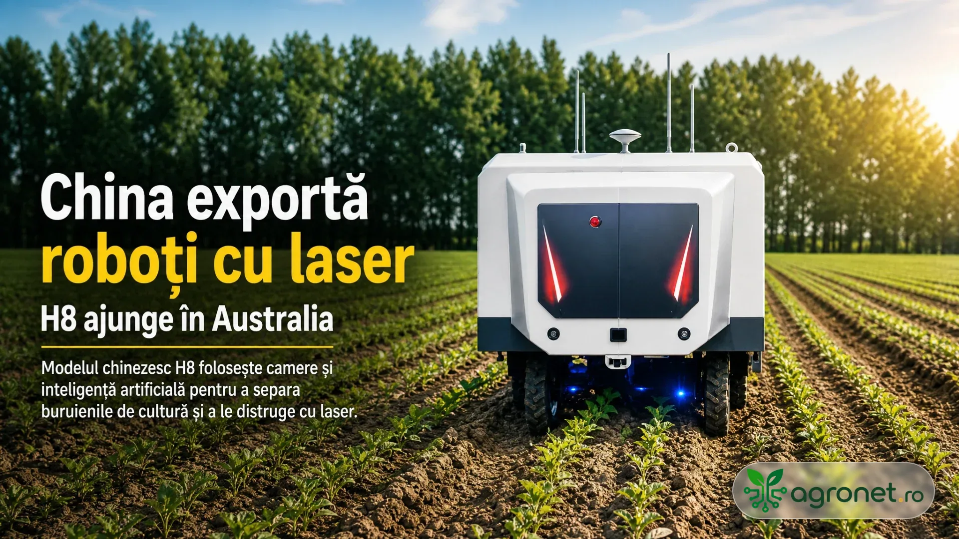 Robot agricol alb, cu lumini și antene, se deplasează pe rânduri de plante tinere într-un câmp, lângă o lizieră de arbori.