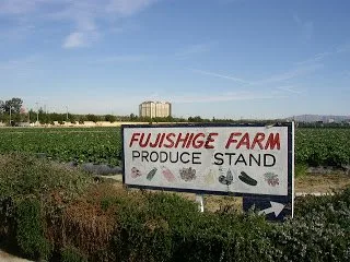 Indicatorul Fujishige Farm Produce Stand lângă un câmp cultivat